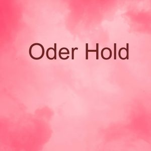 Order Hold
